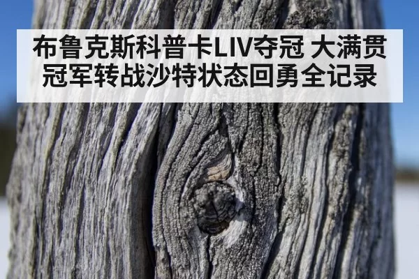 布鲁克斯科普卡LIV夺冠 大满贯冠军转战沙特状态回勇全记录